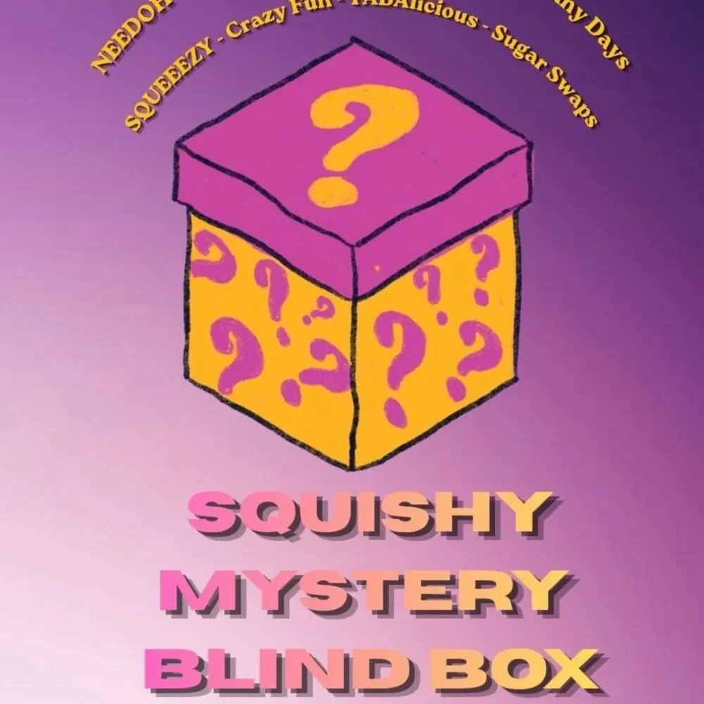 Mystery Blind Box - NeeDoh - SmushMart - RMS - Sunny Days - Sugar Swaps - NWT